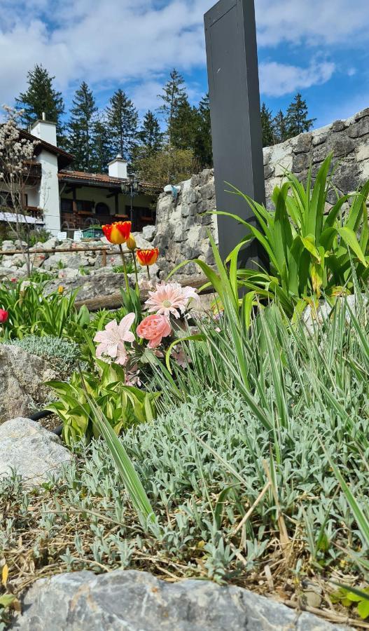 Alpenchalet Zum Jeremia Grainau Εξωτερικό φωτογραφία